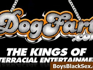 Blacks On Boys - Interracial Porn Gay Videos - 02